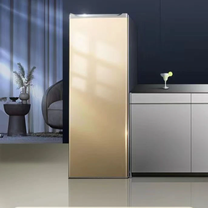 瑕疵立式冰柜冰柜冷柜侧开门冰柜大容量抽屉式速冻急冻节能省电