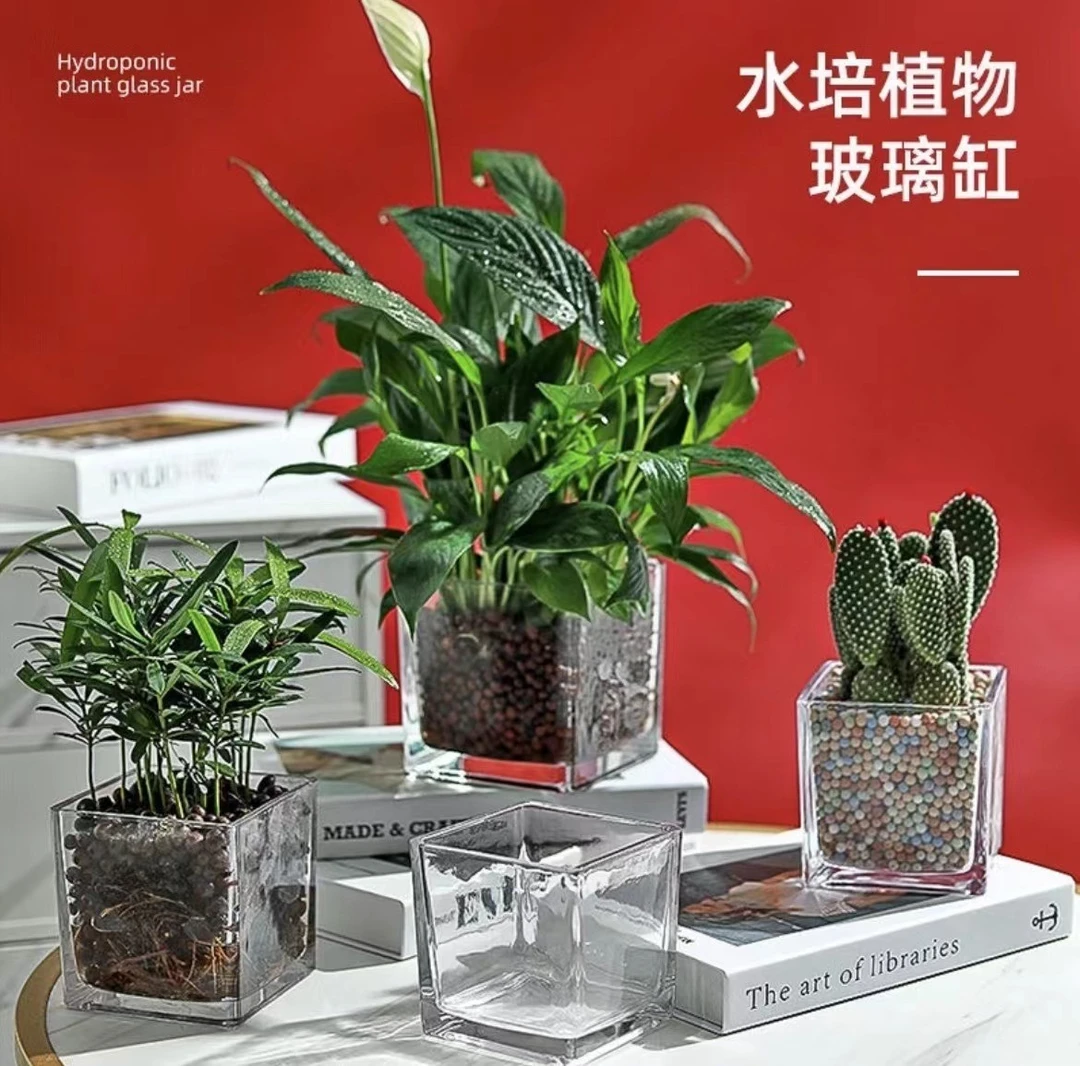 简约水培花盆正方形玻璃花瓶绿萝植物花卉水养花瓶透明水培器皿