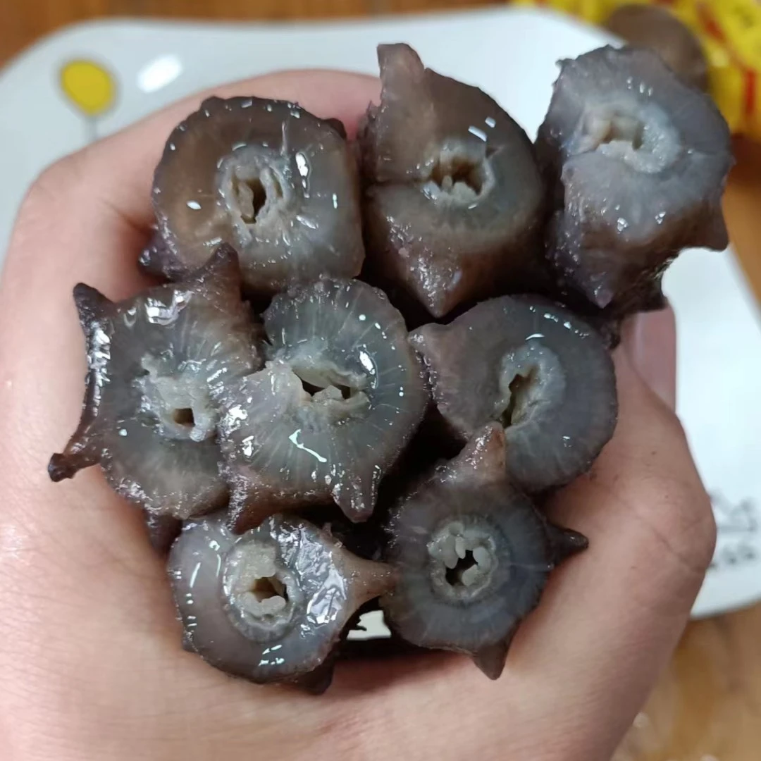 大连即食海参500g 化冻即食 包邮 口感劲道