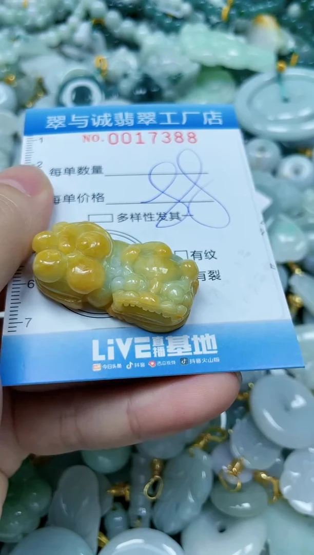 【闪购商品】翡翠颈饰未镶嵌闪购0017388