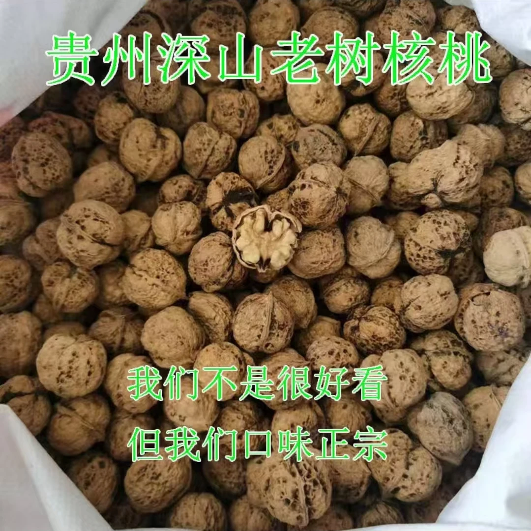 高山薄皮核桃现剥核桃