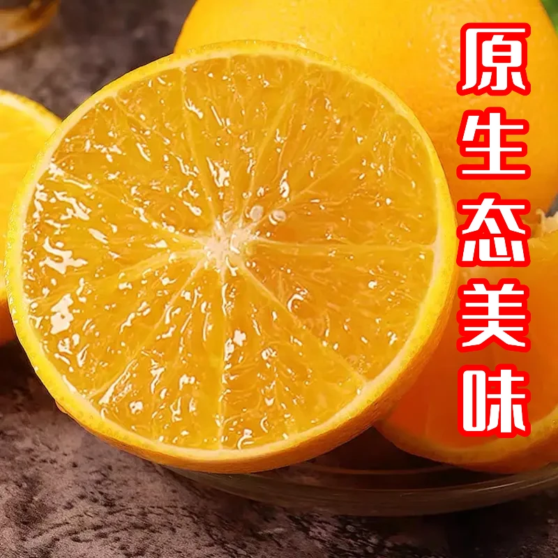 【赣南脐橙】正宗江西赣南脐橙现摘现发产地直发新鲜江西橙子