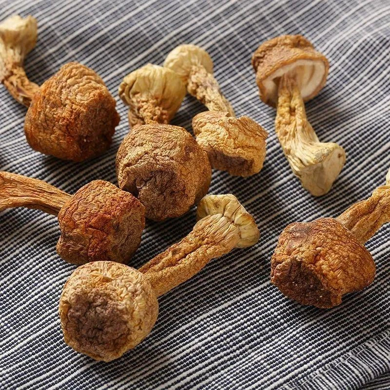 云南特产无硫精选姬松茸100g