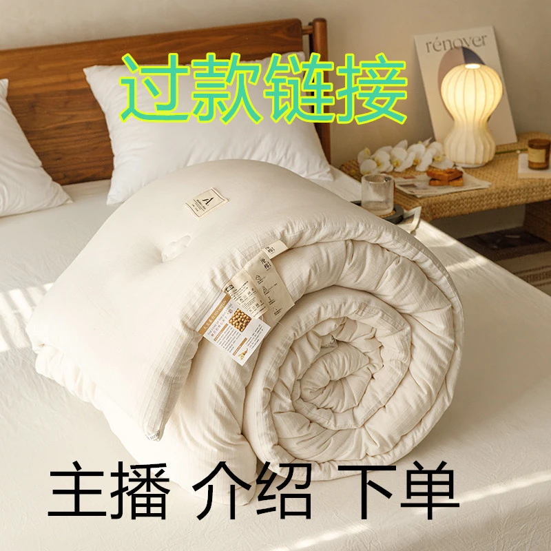 大哥家--A-01孤品加厚冬被春秋被高端被芯夏被微瑕高端床上用品