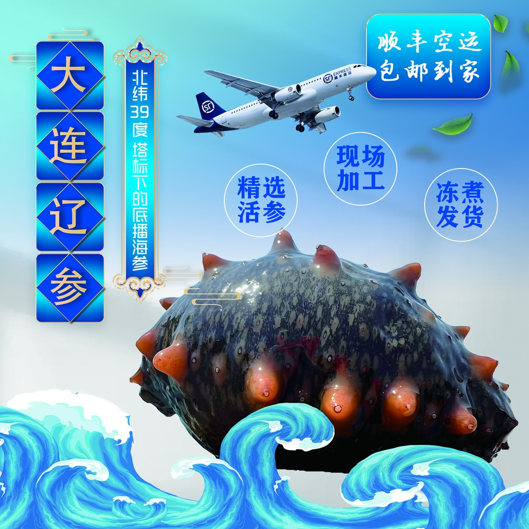 北纬39°标塔底播辽参【活参10斤送1斤】收到后约20-55头/根冻煮海参