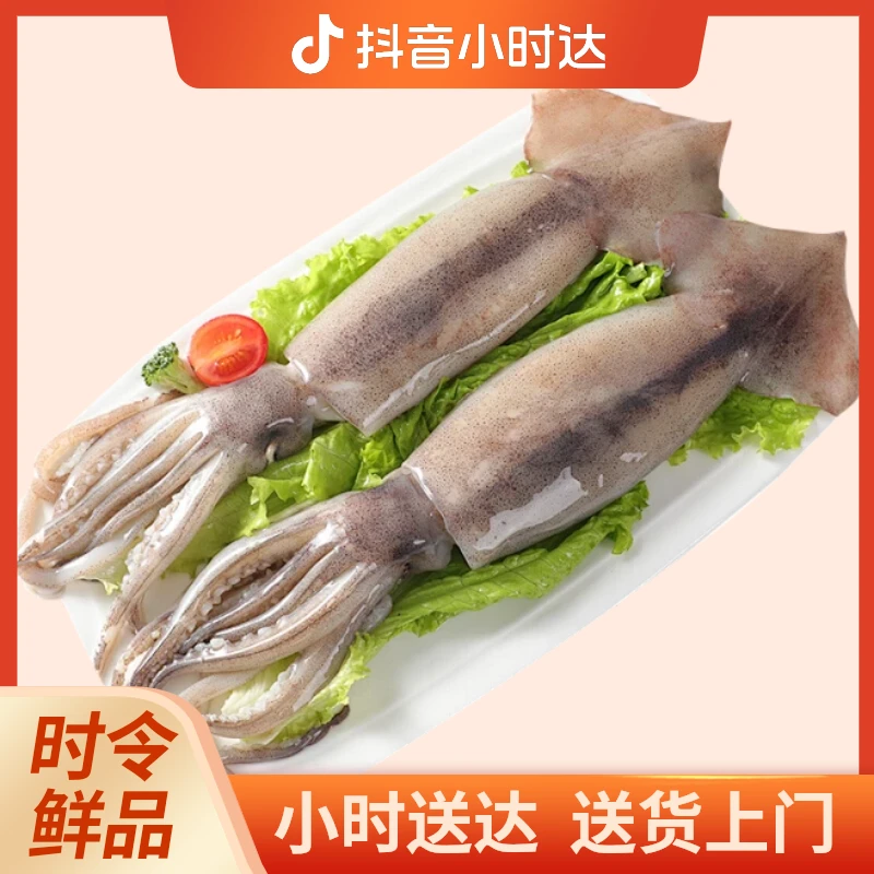 冰鲜鱿鱼250g（份）