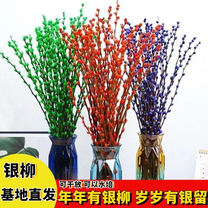 新年银柳干花真花红色招财鲜枝耐寒年宵花水培花室内客厅摆放装饰