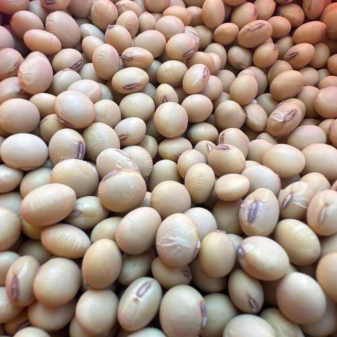 【陈支书】黄豆生晒干农家新鲜黄豆江西新余土味特产