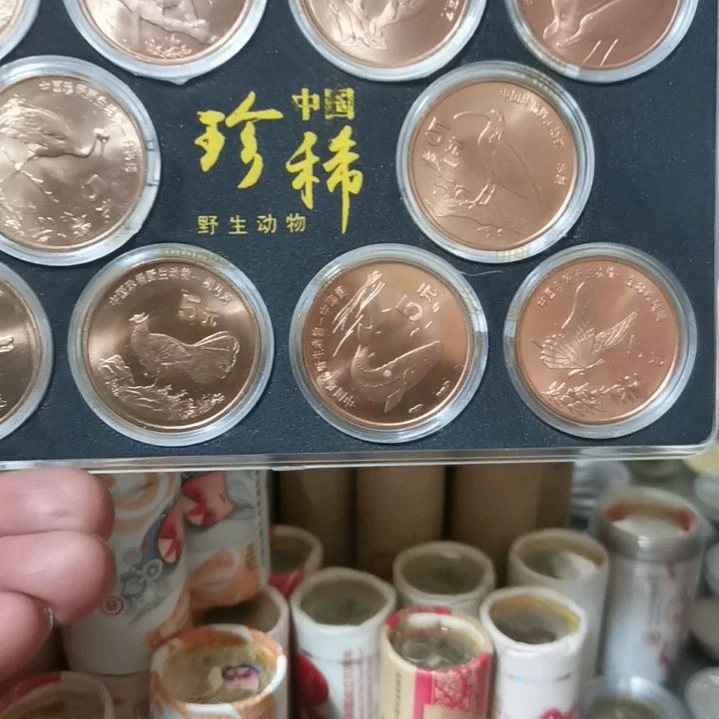 【闪购商品】铜动物