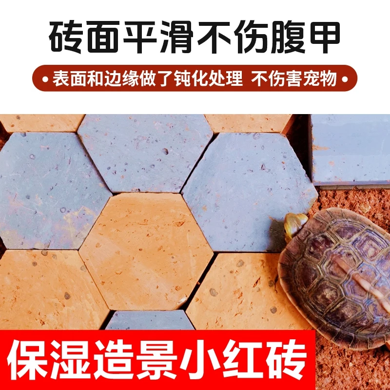 黄缘龟专用红砖龟缸造景守宫安缘龟铺地垫材吸水砖黄缘龟环境布置