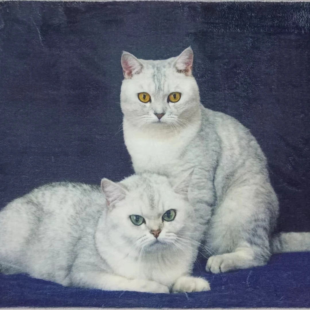 机织打印风景地毯/挂毯混纺轻奢装修风 高清喷印 环保燃料0.5*0.7