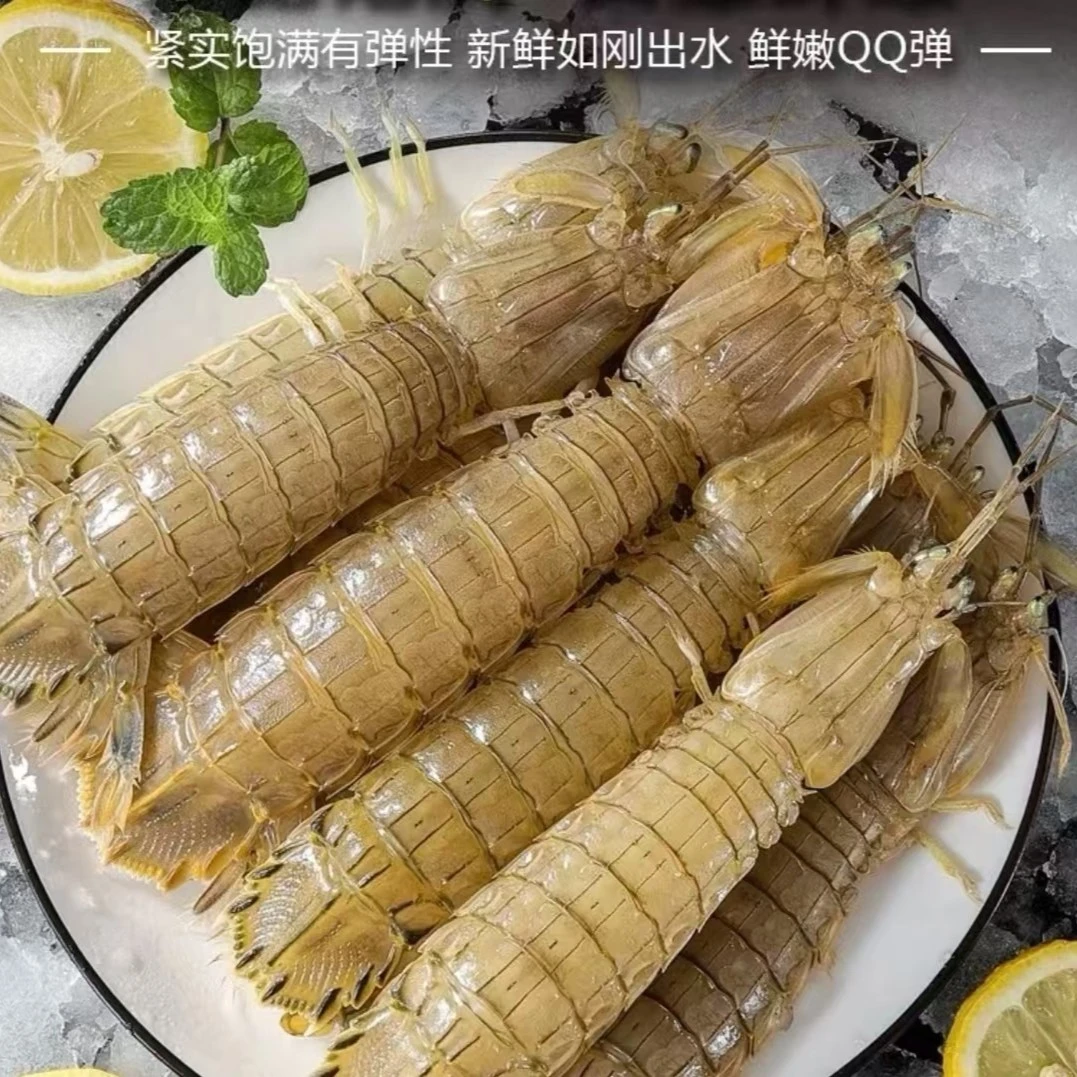 鲜活皮皮虾打氧发出500g