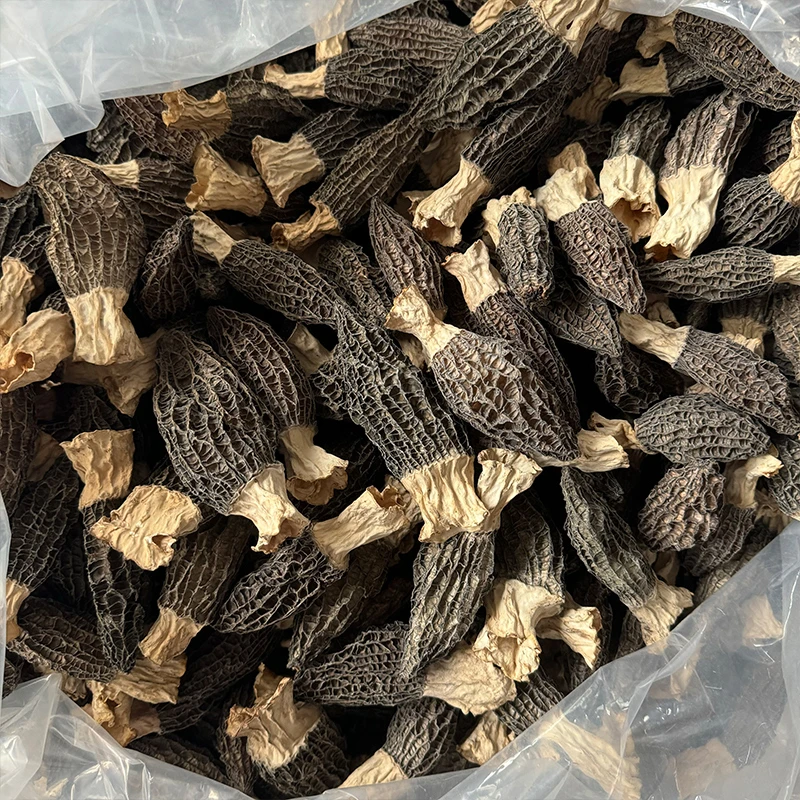 羊肚菌干品六妹精品3-6公分2024年新货150g包邮