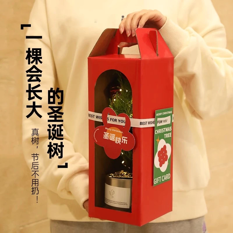 圣诞节礼物送女生男生朋友闺蜜创意装饰实用儿童2024圣诞树平安夜