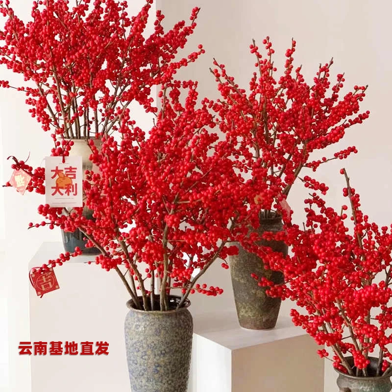 进口北美冬青发财红果果鲜花真花春节喜庆年宵花水培切枝云南直发