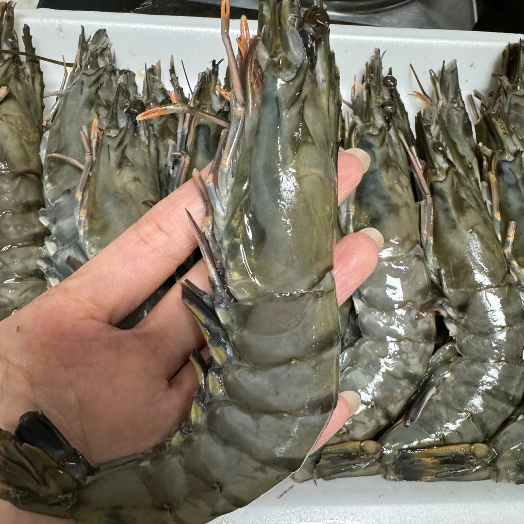 【紧实鲜甜无腥味】山姆生冷冻黑虎虾2㎏（冷冻）