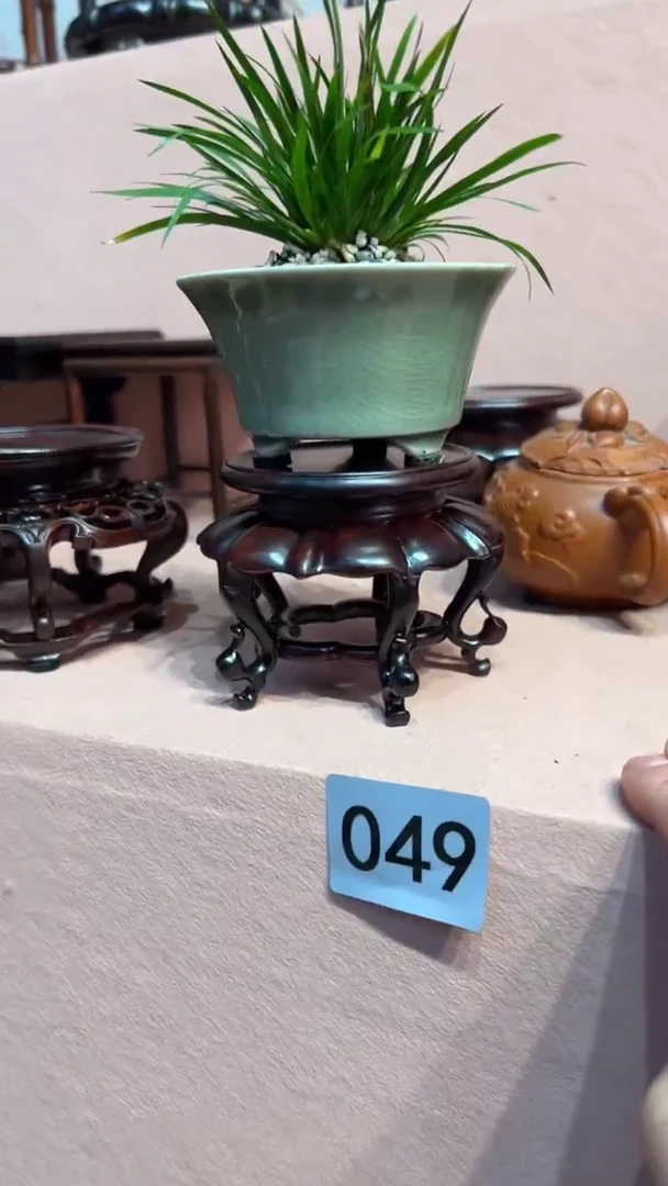 【闪购商品】紫砂122222