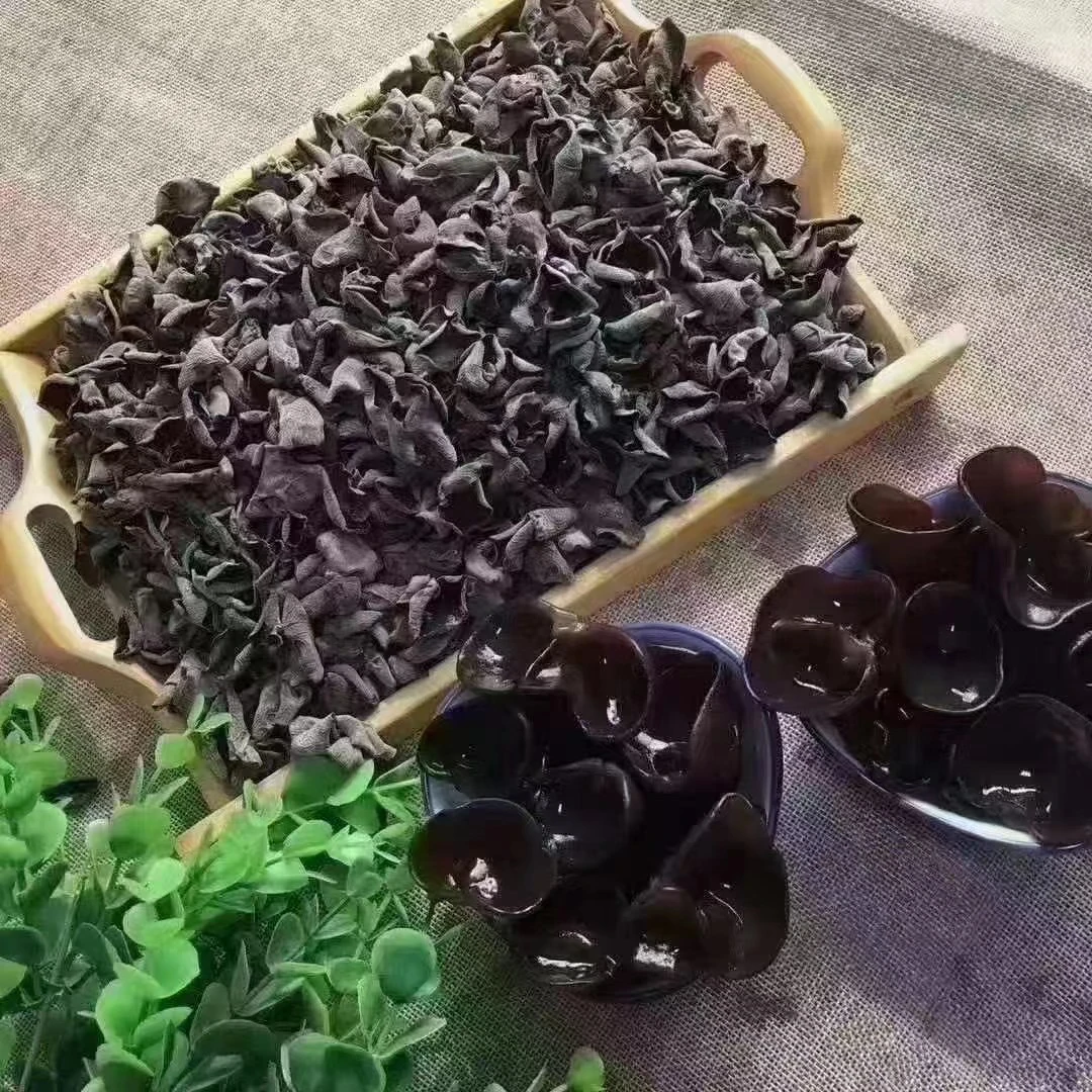 东北长白山 木耳