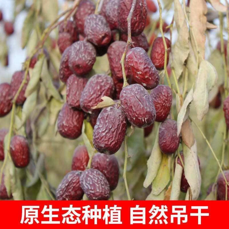 23年新货新疆正宗若羌灰枣原生态未清洗吊干灰枣新疆特产红枣零食