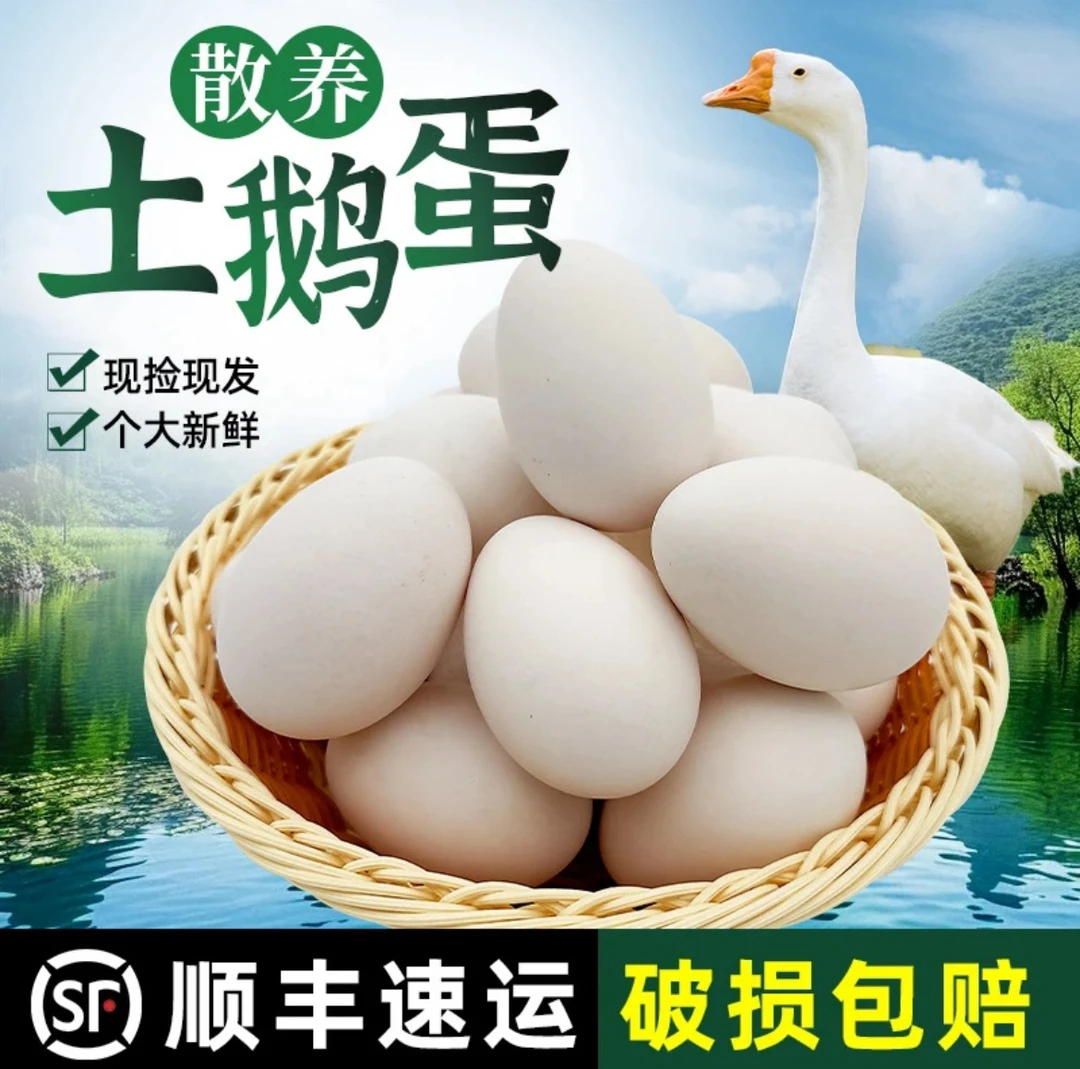 东北特色散养土鹅蛋新鲜批发一整箱新鲜现捡现捡现发