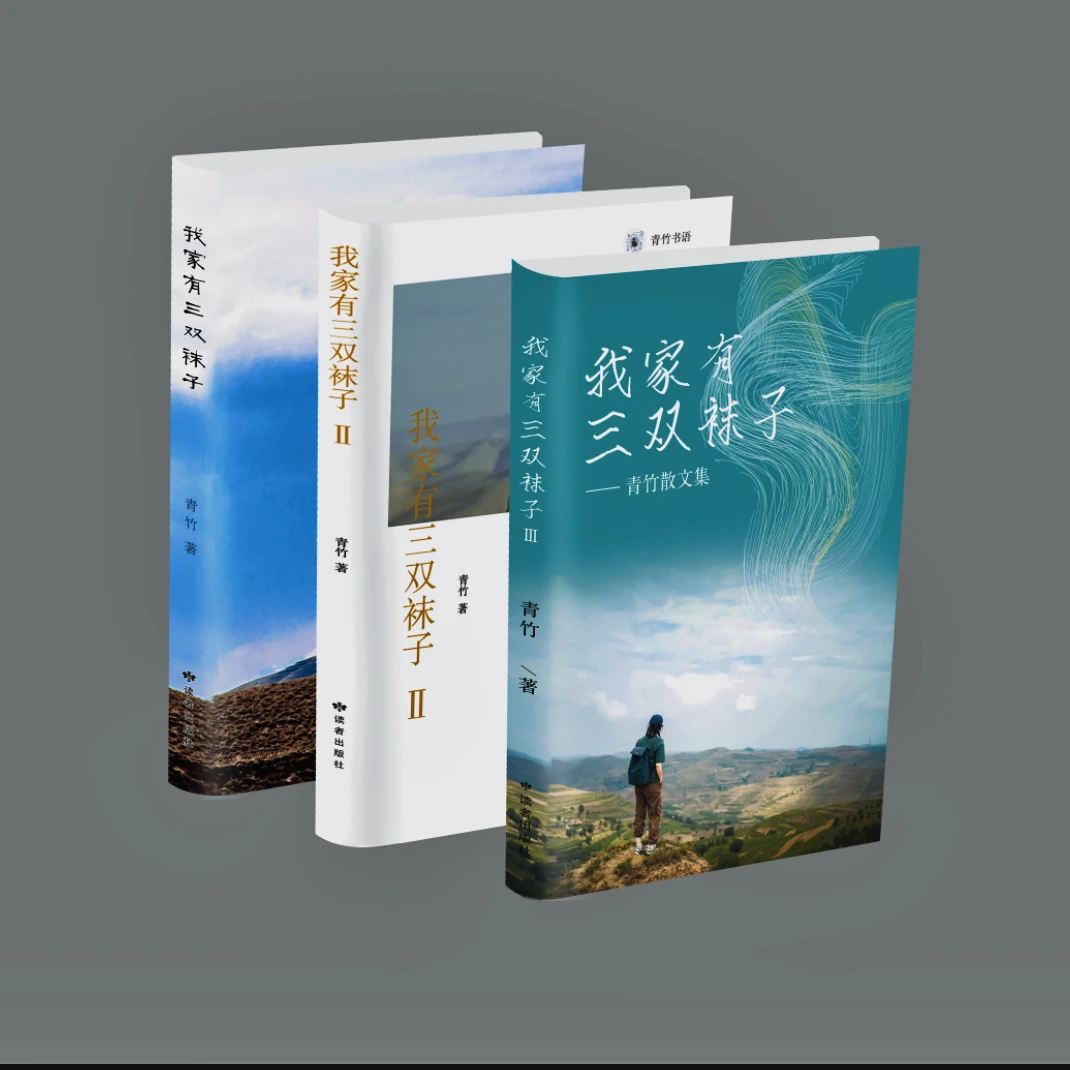 我家有三双袜子三部全集 青竹散文书籍