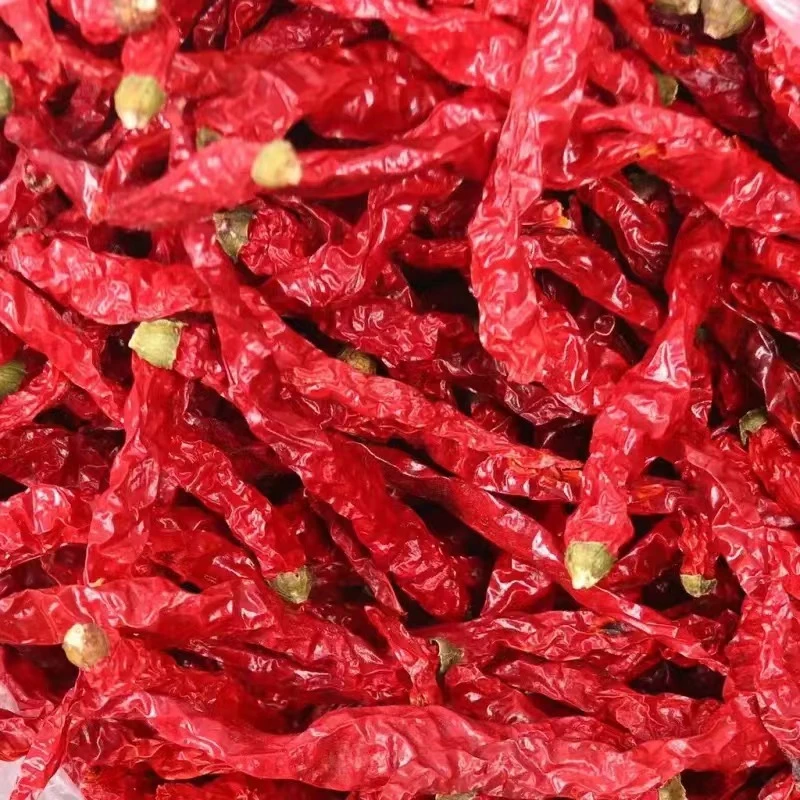 陕西秦椒辣子干辣子红线椒炒菜调味