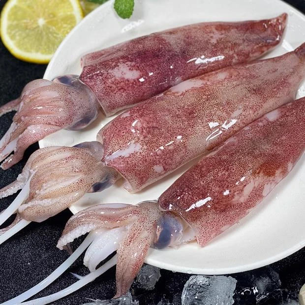 大鱿鱼【直播现称】现称鱼/虾/蟹 等海鲜以直播间称重商品为准