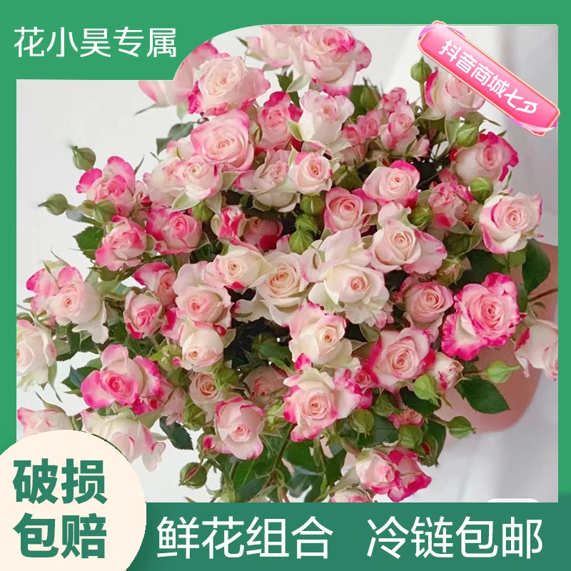 【花小昊专属】多头玫瑰福利：多头巧克力+折射+橙芭比+爱丽丝