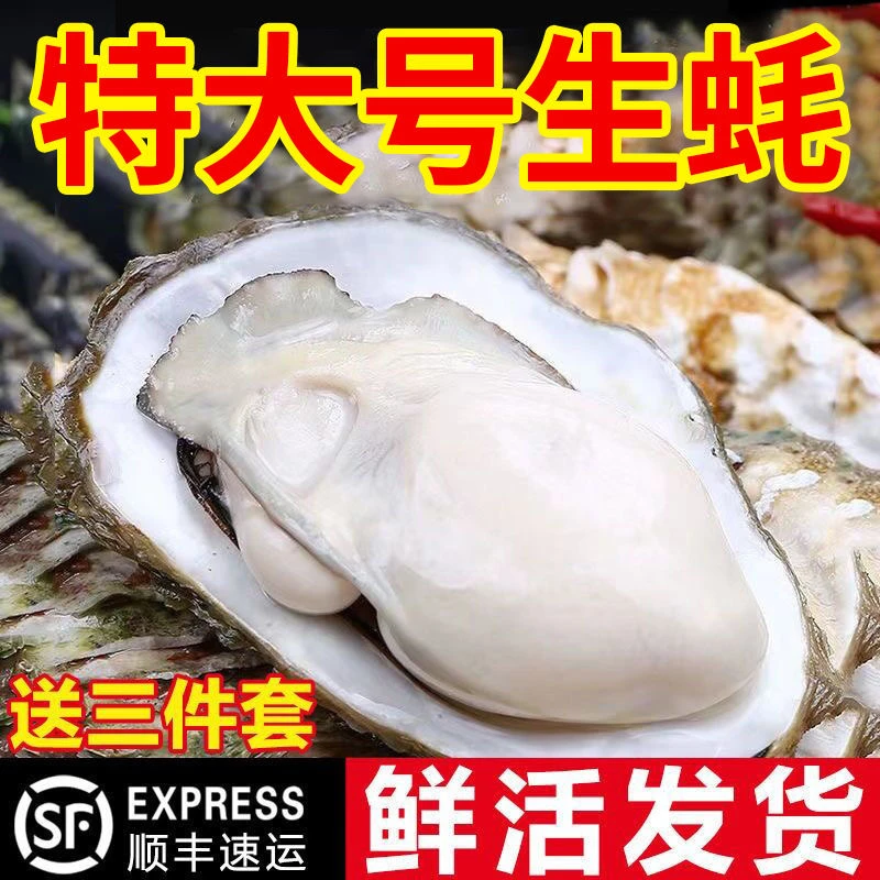 【超领鲜】山东日照正宗三倍体生蚝烧烤海蛎子牡蛎5斤/9斤冷链包邮