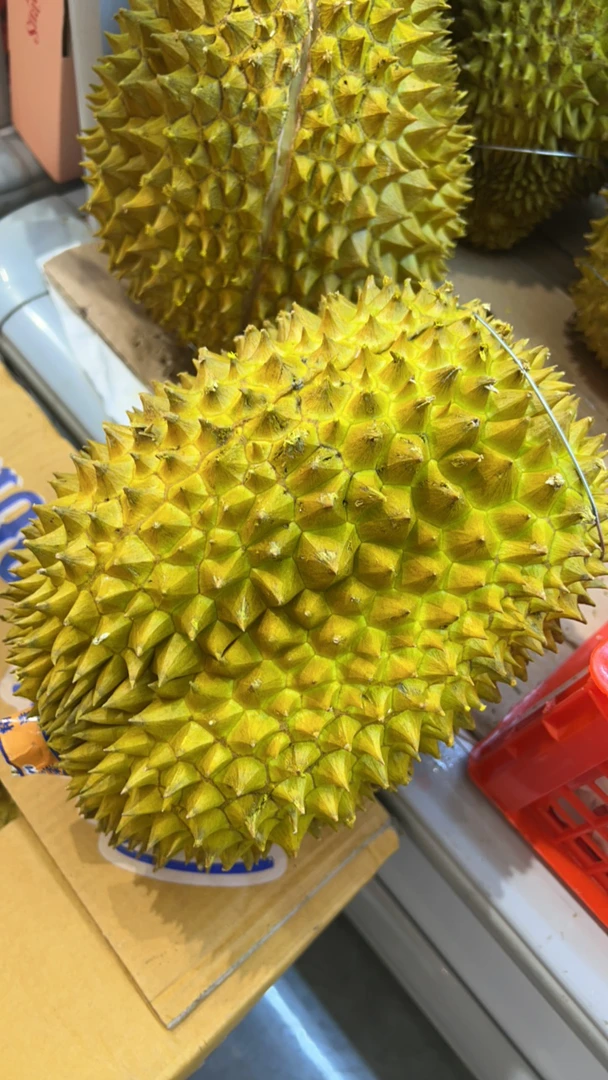 金枕榴莲