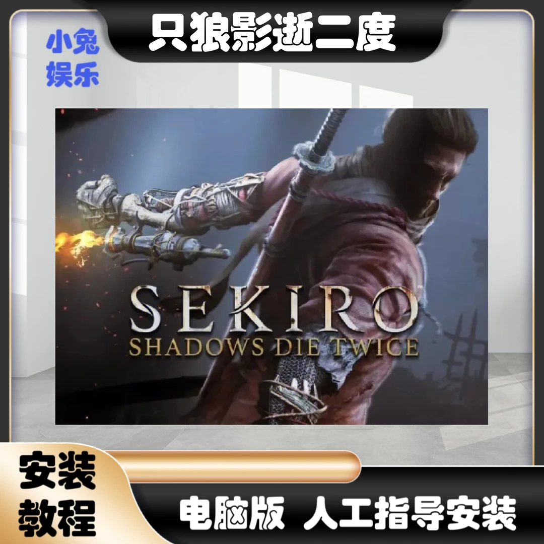 只狼:影逝二度 电脑办公耗材相关服务专业高效