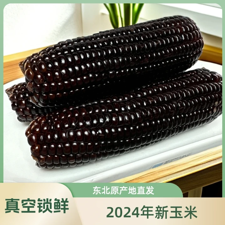 【试吃2根】东北甜糯玉甜糯真空包装黑糯玉米整箱10根6斤