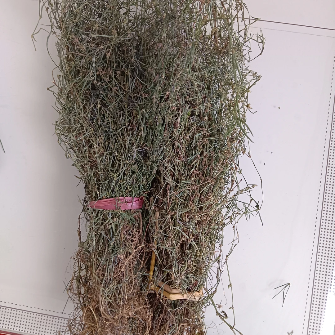 云南大山下山白草