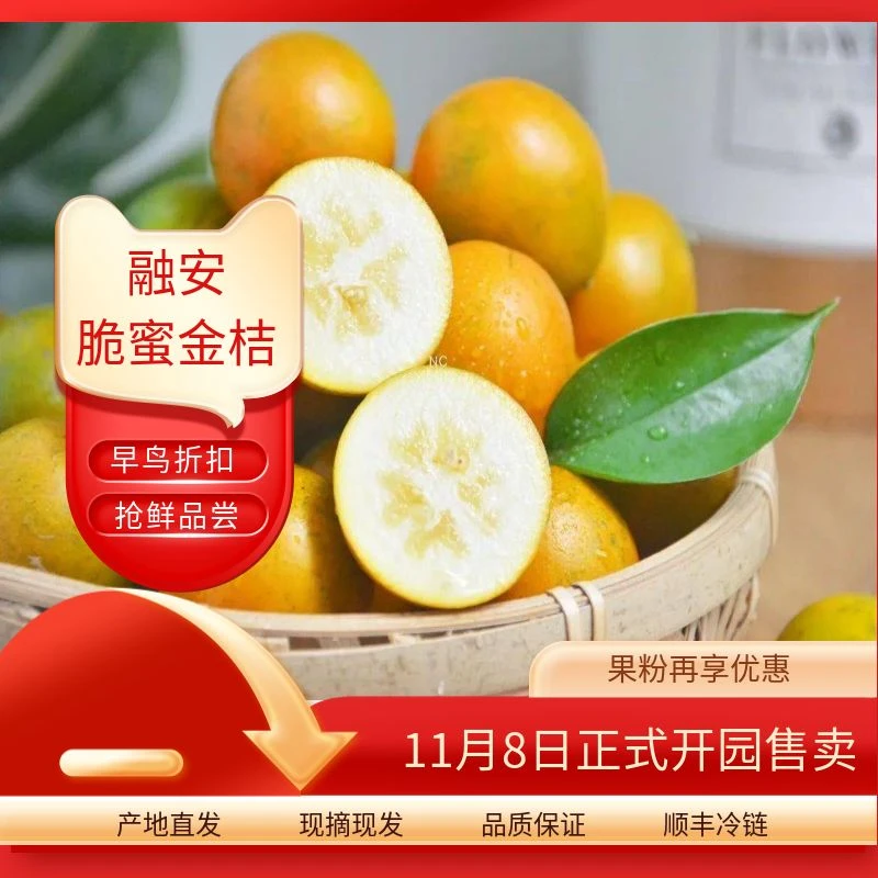 【脆蜜大果】3斤/5斤 融安正宗 现摘现发 新鲜到家 纯甜爆汁 不麻嘴