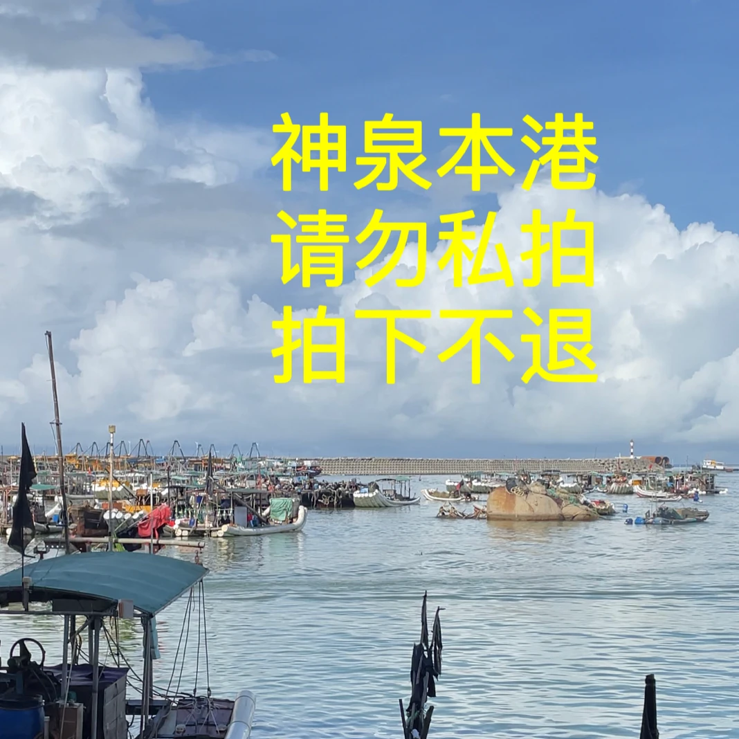 惠来神泉本港当日海鲜 改价链接（省内包邮）