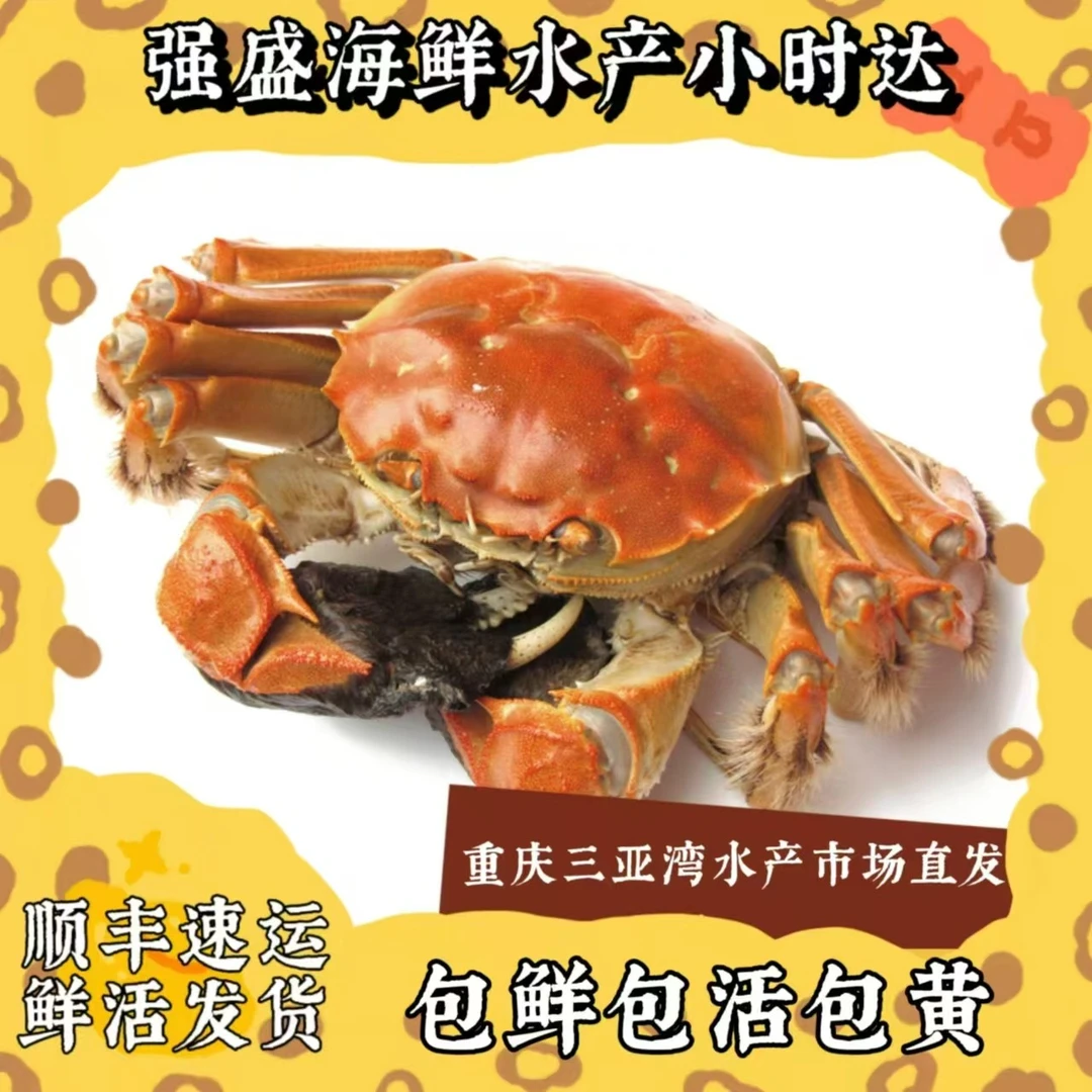 福利精品大闸蟹8-10只（1.4-1.7两）