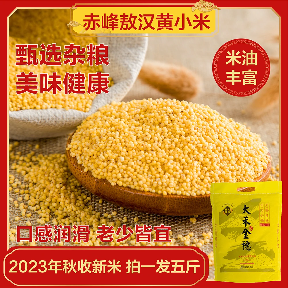 内蒙赤峰敖汉黄小米 2023年秋季精品新米 颗粒饱满高品质营养优质
