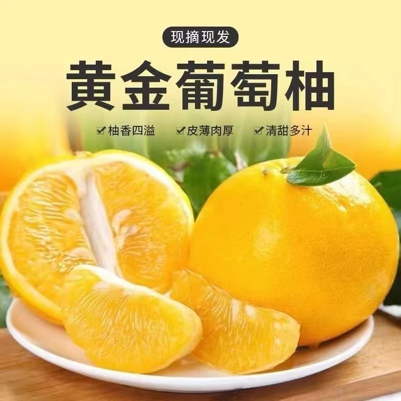 【阿飞1】正宗平和葡萄柚当季水果现摘现发1.5/3/5/9斤普通装多汁
