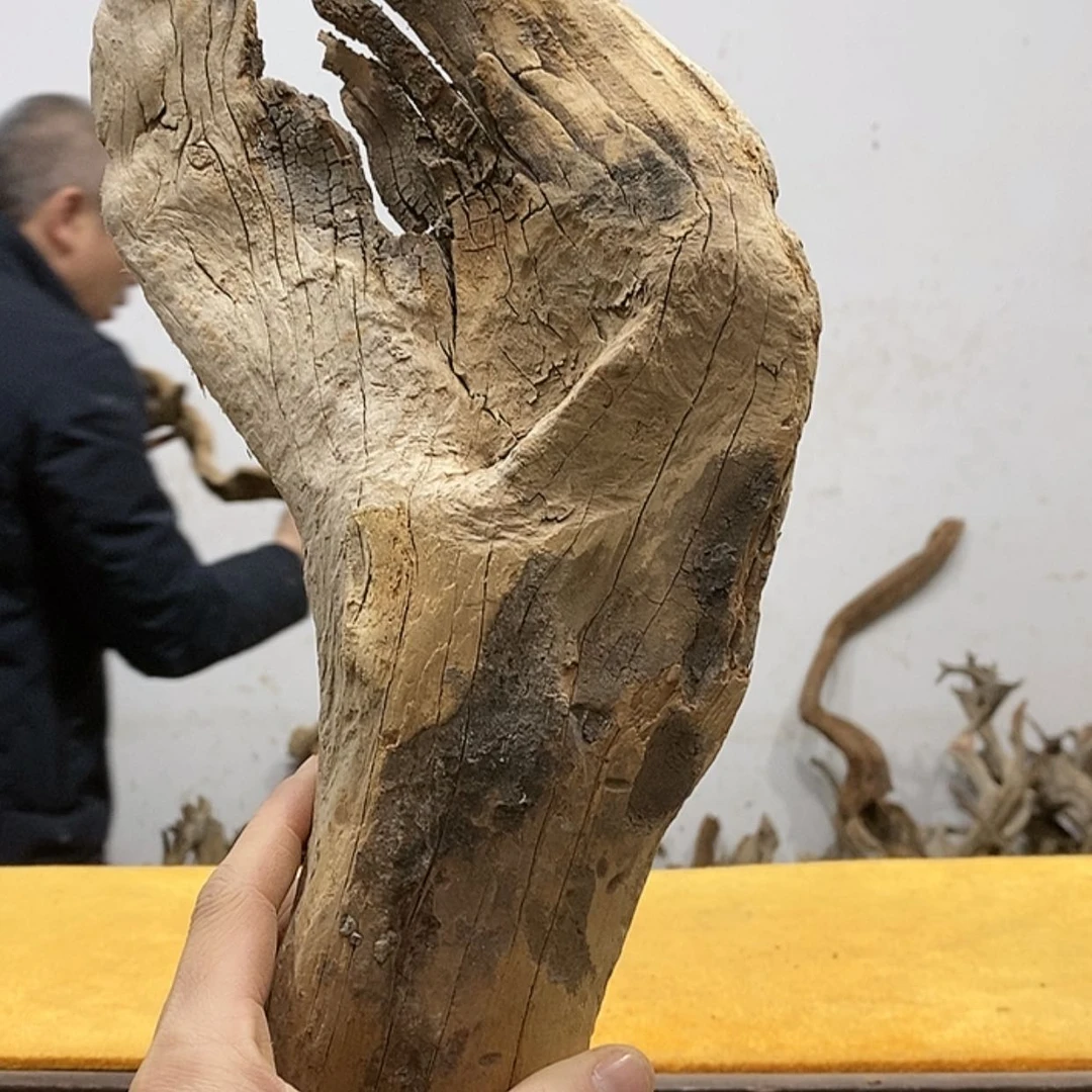 【闪购商品】柏木J****9