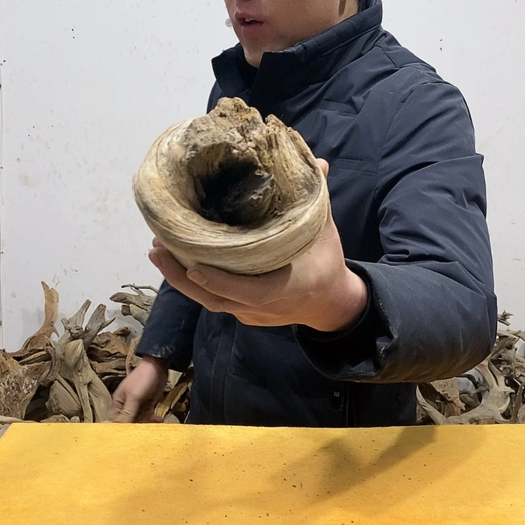 【闪购商品】柏木江*