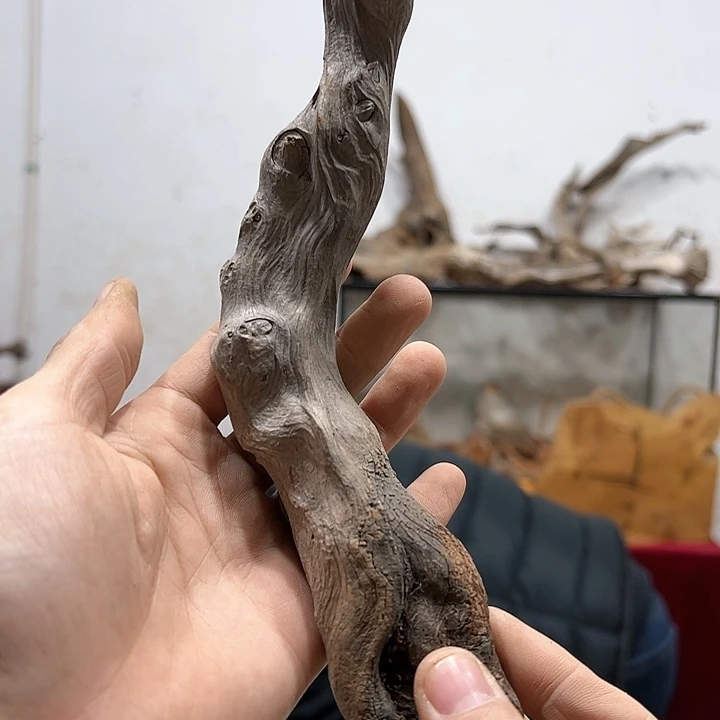 柏木太****侠我们的生活也会