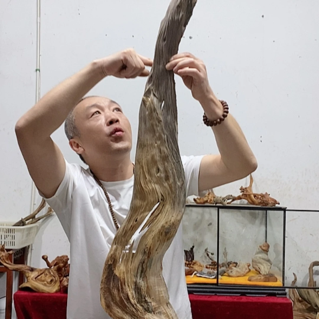 【闪购商品】柏木鑫**?清清浅浅地看了一圈