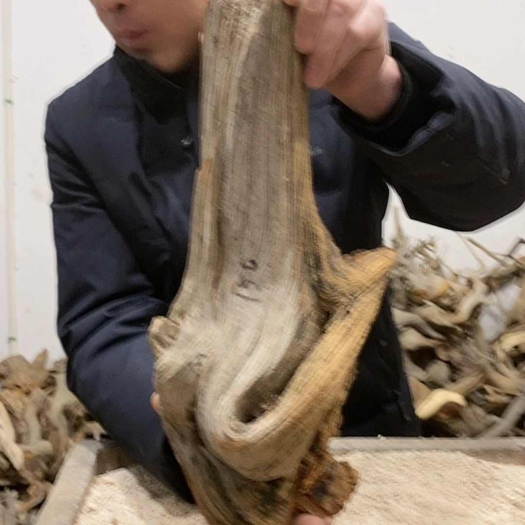 【闪购商品】柏木禹*