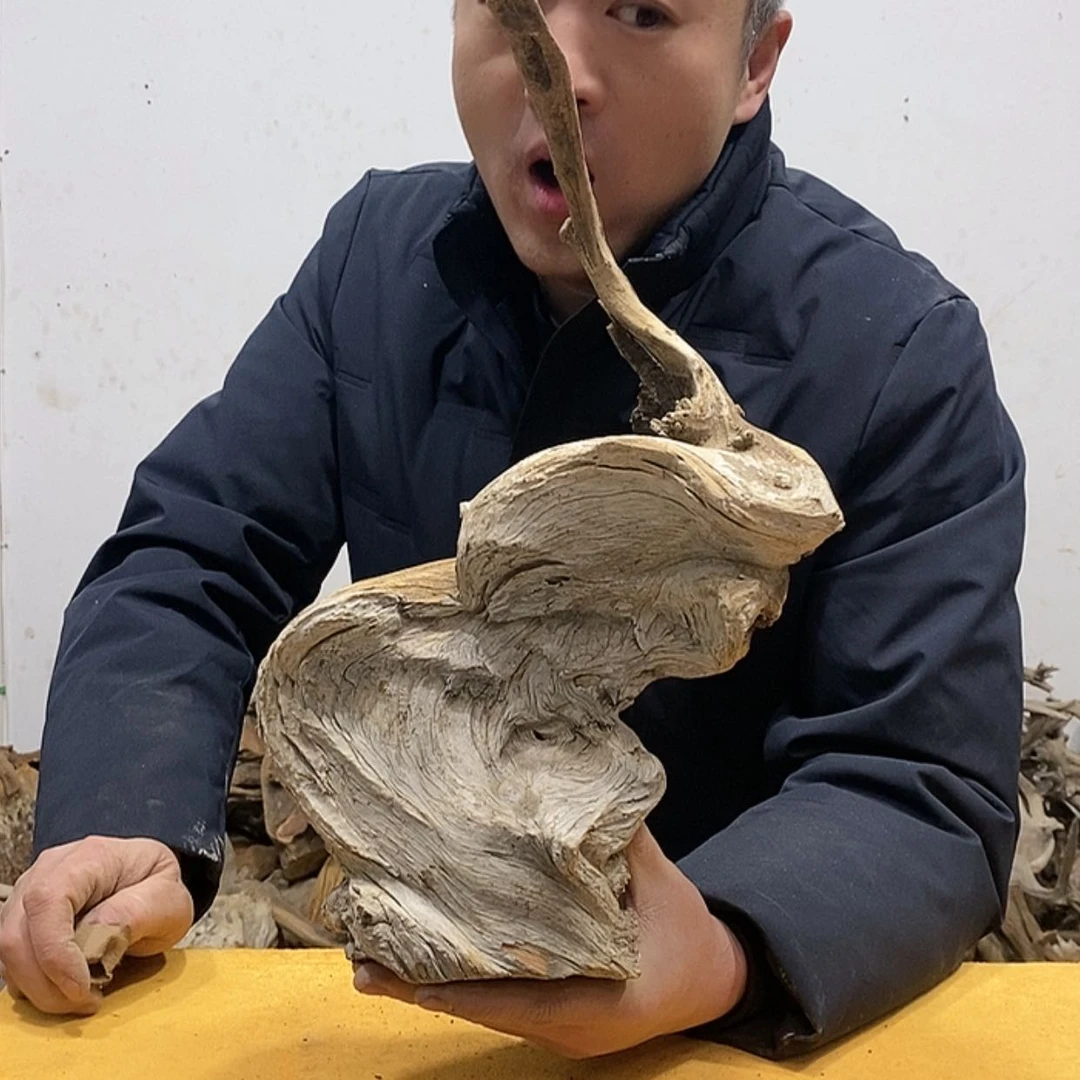 【闪购商品】柏木德*