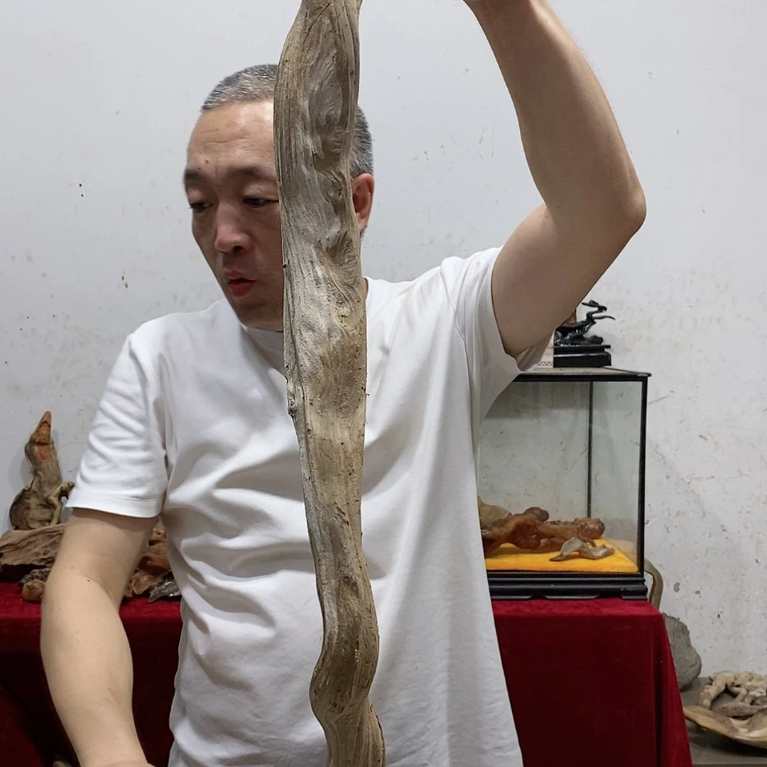 【闪购商品】柏木四***༨清清浅浅地看了