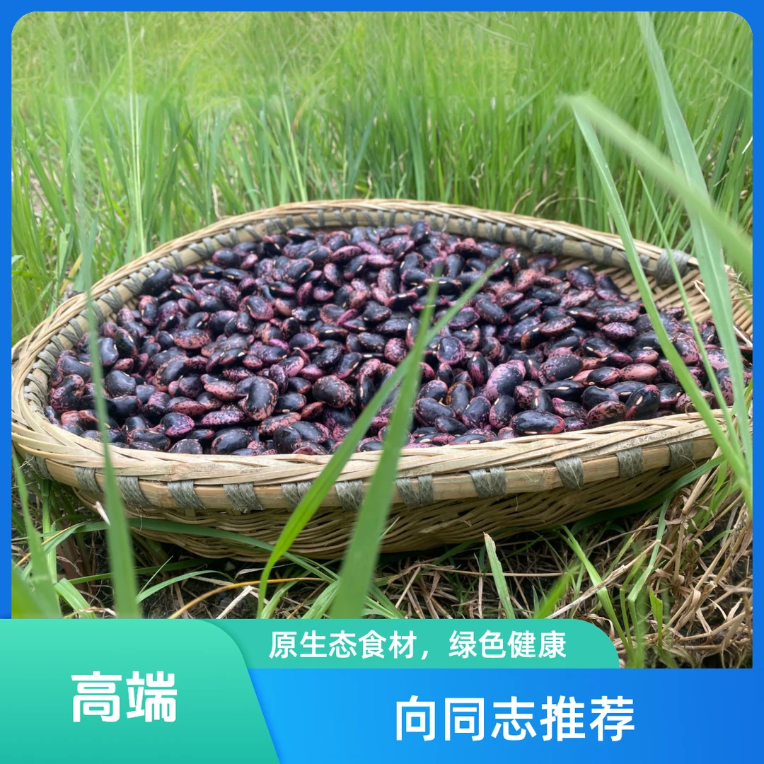 来自海拔1800米以上的高山岩豆