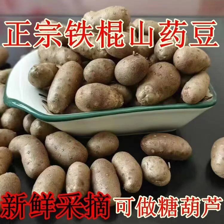新鲜铁棍山药豆精选中果营养丰富粉糯香甜老少皆宜零食辅食佳品