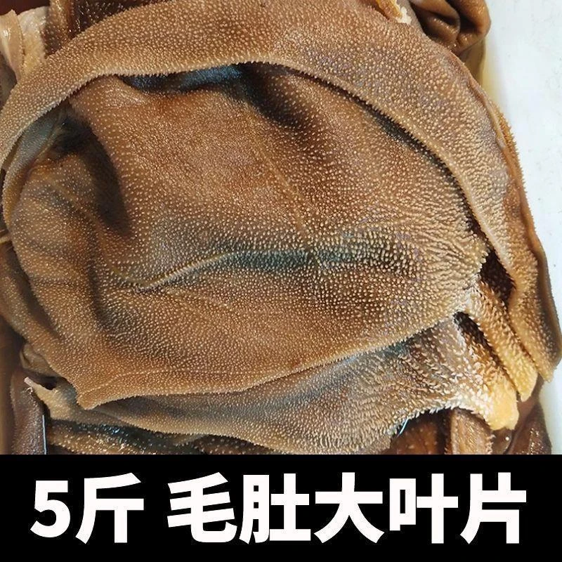 新鲜毛肚大叶片牛百叶商用火锅食材牛肚杂冒菜冰鲜包邮批发