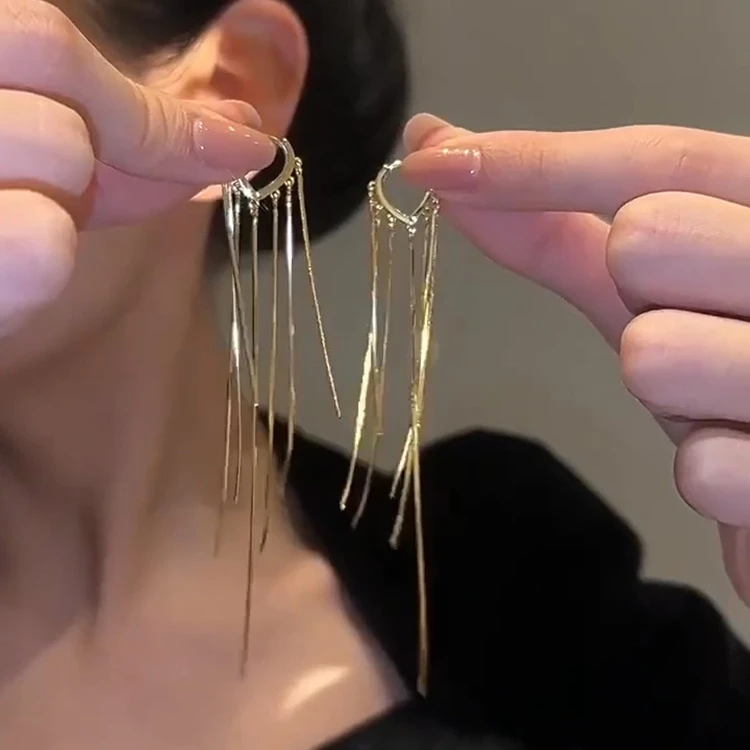 长款气质流苏耳环女小众设计高级感耳饰潮轻奢时尚耳钉