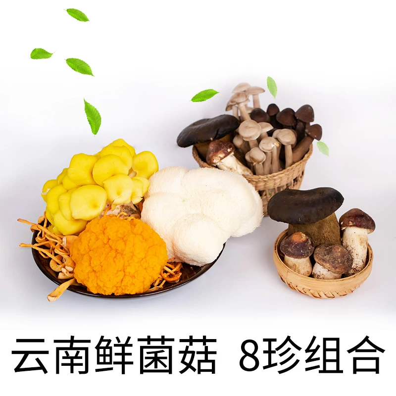 【8珍鲜菌组合装1000g/2000g】菌之韵牛肝菌金耳菇猴头菇鸡枞姬松茸